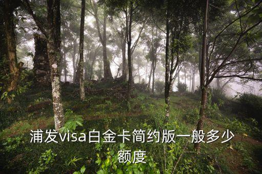 浦發(fā)信用卡一般額度多少錢,欠信用卡30萬死了要家人還嗎