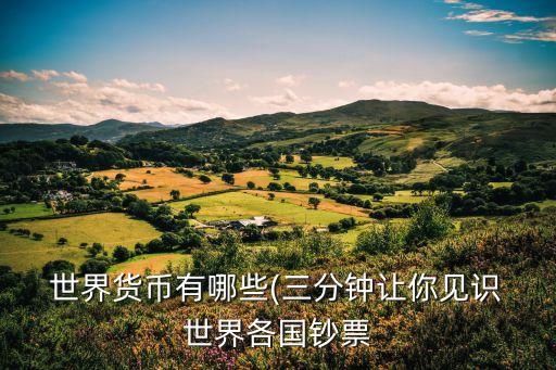 世界上有多少種幣種,中國有多少種幣種