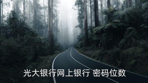 光大銀行默認登錄密碼是多少