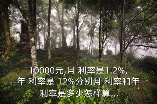 月利率12%每月是多少錢,1萬月利率0.03每月還多少