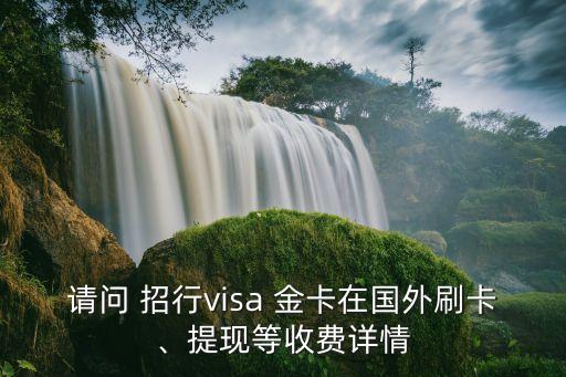請問 招行visa 金卡在國外刷卡、提現(xiàn)等收費(fèi)詳情