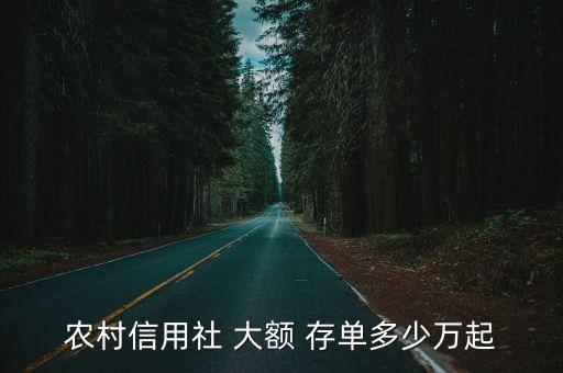 農(nóng)村信用社 大額 存單多少萬起