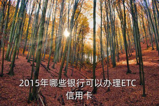 民生銀行能辦etc信用卡額度是多少