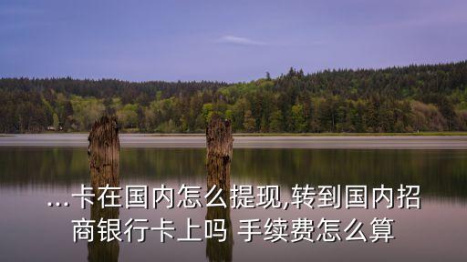 ...卡在國(guó)內(nèi)怎么提現(xiàn),轉(zhuǎn)到國(guó)內(nèi)招商銀行卡上嗎 手續(xù)費(fèi)怎么算