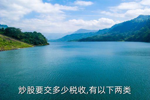 炒股要交多少稅收,有以下兩類