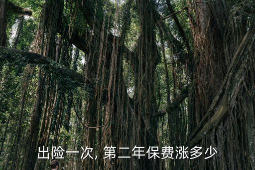 出險(xiǎn)一次, 第二年保費(fèi)漲多少