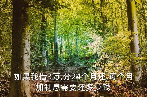 如果我借3萬(wàn),分24個(gè)月還,每個(gè)月加利息需要還多少錢(qián)