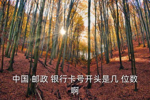 中國(guó) 郵政 銀行卡號(hào)開(kāi)頭是幾 位數(shù)啊