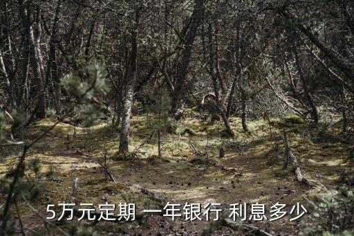 5萬存一年死期利息多少,5萬元最佳存款法