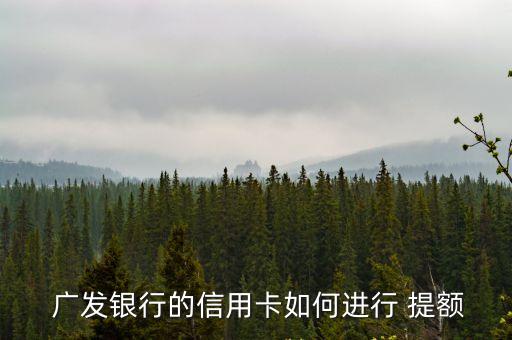 廣發(fā)第一次提額多少錢,廣發(fā)信用卡一般提額多少