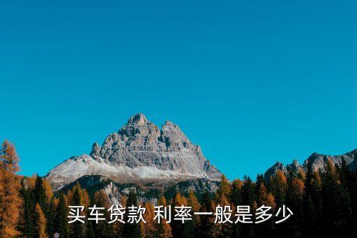  買車貸款 利率一般是多少
