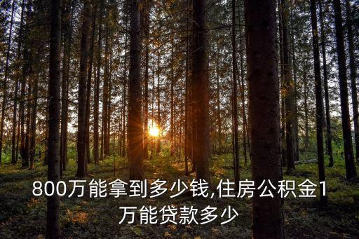 貸款800萬能拿到多少錢,住房公積金1萬能貸款多少