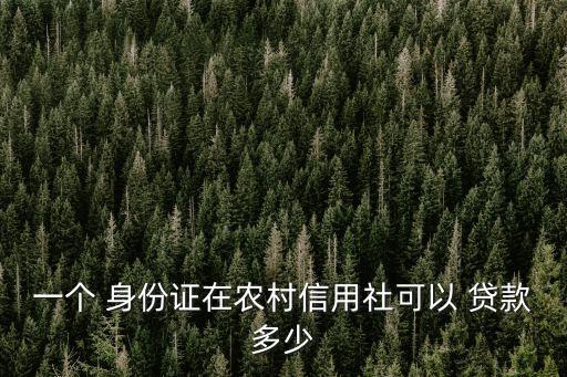 一個(gè) 身份證在農(nóng)村信用社可以 貸款多少