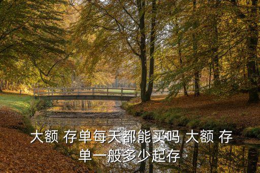 大額存單的額度是多少
