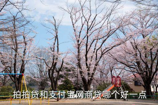  拍拍貸和支付寶網(wǎng)商貸哪個(gè)好一點(diǎn)