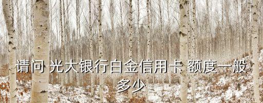 請(qǐng)問(wèn) 光大銀行白金信用卡 額度一般多少