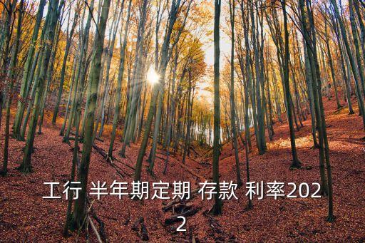 工行 半年期定期 存款 利率2022