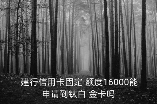  建行信用卡固定 額度16000能申請到鈦白 金卡嗎