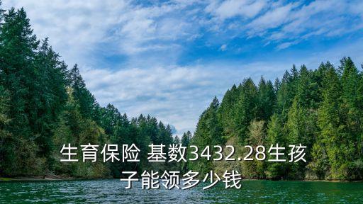 如果社保基數(shù)是3000 生育津貼能拿多少