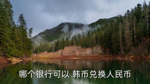 哪個(gè)銀行可以 韓幣兌換人民幣