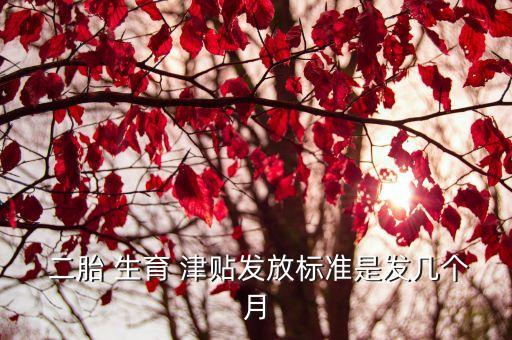 生二胎生育津貼有多少,二胎生育津貼2023年最新政策