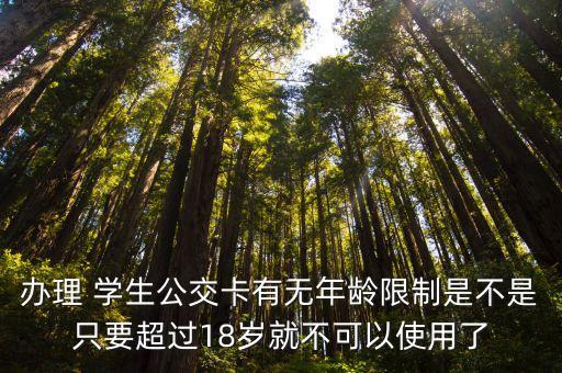辦理 學生公交卡有無年齡限制是不是只要超過18歲就不可以使用了