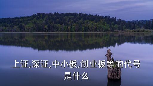 深市主板有多少股票,深市一共多少只股票