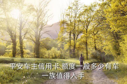 平安標(biāo)準(zhǔn)卡萬事達(dá)普卡額度是多少,平安萬事達(dá)標(biāo)準(zhǔn)信用卡普卡