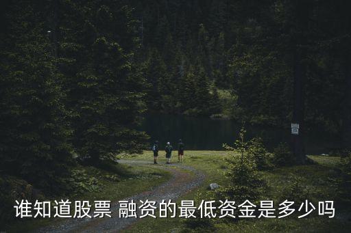 誰知道股票 融資的最低資金是多少嗎