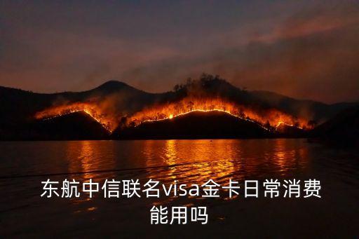  東航中信聯(lián)名visa金卡日常消費(fèi)能用嗎