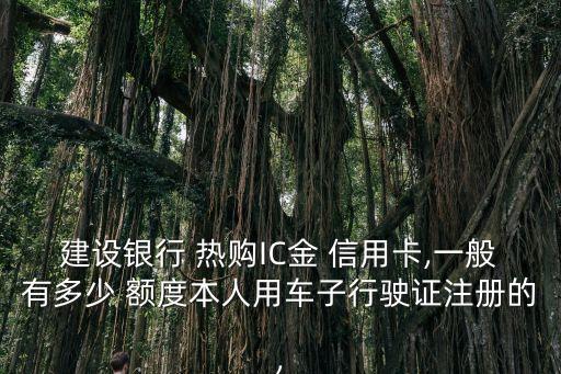 建設(shè)銀行 熱購(gòu)IC金 信用卡,一般有多少 額度本人用車子行駛證注冊(cè)的,