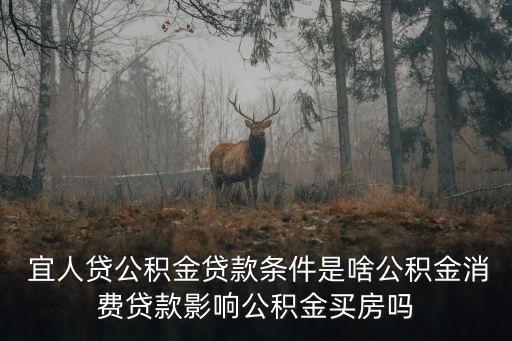 宜人貸剛申請能帶多少