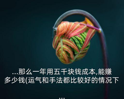 3m投資5000元一期能賺多少