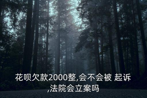 花唄欠款2000整,會(huì)不會(huì)被 起訴,法院會(huì)立案嗎