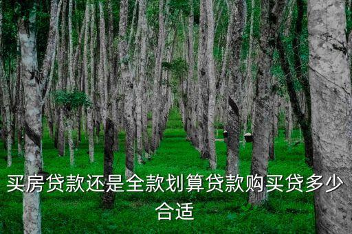 買房貸款還是全款劃算貸款購(gòu)買貸多少合適