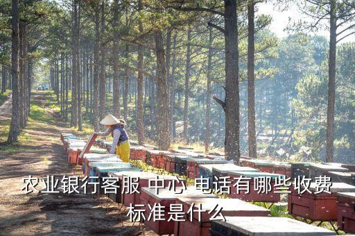 農(nóng)業(yè)銀行客服 中心 電話有哪些收費(fèi)標(biāo)準(zhǔn)是什么