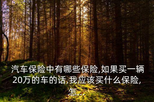  汽車保險中有哪些保險,如果買一輛20萬的車的話,我應(yīng)該買什么保險,怎...