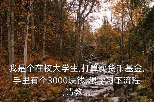 我是個(gè)在校大學(xué)生,打算買貨幣基金,手里有個(gè)3000塊錢,想學(xué)習(xí)下流程,請教...