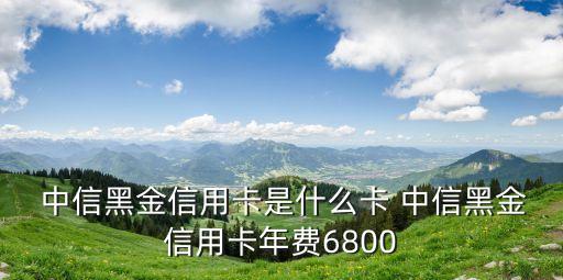 中信返利黑金卡額度多少錢