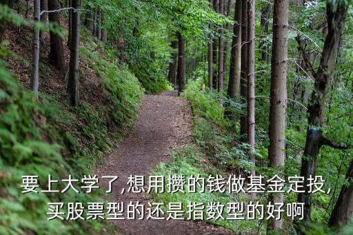要上大學(xué)了,想用攢的錢做基金定投,買股票型的還是指數(shù)型的好啊