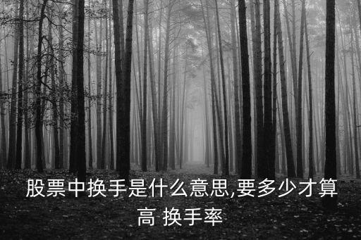 股票換手率最高多少