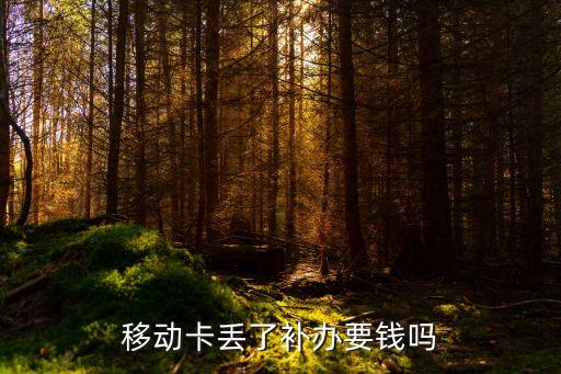 補卡需要多少錢,中國工商銀行補卡需要多少錢