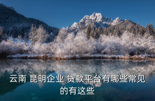 云南 昆明企業(yè) 貸款平臺有哪些常見的有這些