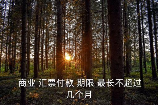  商業(yè) 匯票付款 期限 最長不超過幾個月
