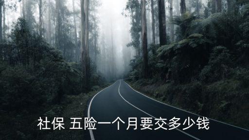 社保 五險(xiǎn)一個(gè)月要交多少錢