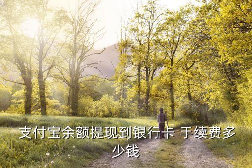  支付寶余額提現(xiàn)到銀行卡 手續(xù)費(fèi)多少錢