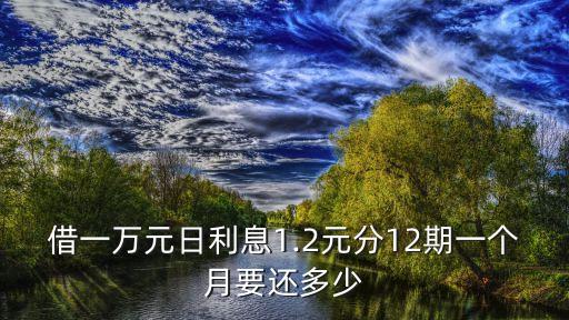 借一萬元日利息1.2元分12期一個(gè)月要還多少