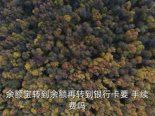 余利寶轉出手續(xù)費多少,微信余利寶轉出到銀行卡要手續(xù)費嗎