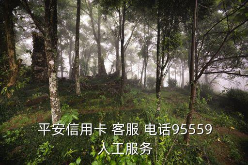  平安信用卡 客服 電話95559 人工服務(wù)