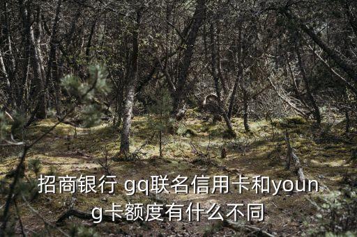 gq卡每天限額多少,中國(guó)建設(shè)銀行卡每天限額多少